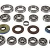 Quad Boss Transaxle Bearing Kit Polaris 2014-2020 -Quad Boss Sales Shop quad boss transaxle bearing kit polaris20142020